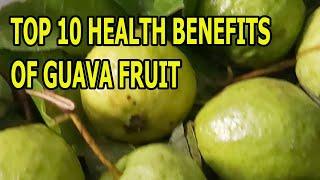 Guava Fruit: Top 10 Benefits and Uses