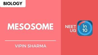 Mesosome | NEET Biology | NEET UG in 10