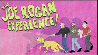 JRE - 10 Years in Review