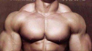 TOP 10 ABS By Body Builders