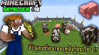 វិធីយកសត្វចិញ្ចឹមក្នុង Skyblock - Minecraft Skyblock Khmer EP #10 | TNSTube