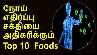 நோய் எதிர்ப்பு சக்தியை பல மடங்கு அதிகரிக்கும்.. | top 10 foods for increasing immunity