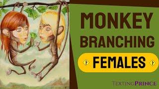 Monkey Branching 101  (animated)