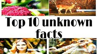 Top 10 unknown interest facts in hindi//ONE TOUCH