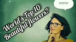 TOP 10 MOST BEAUTIFUL FLOWERS IN THE WORLD 