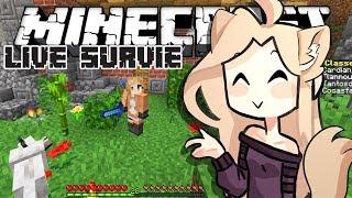 Primeria SURVIE 1.15: Construction de ma SALLE des COFFRES ! (Minecraft rediff live)