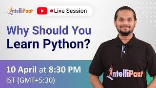 Why Learn Python | Python Developer Skills | Intellipaat