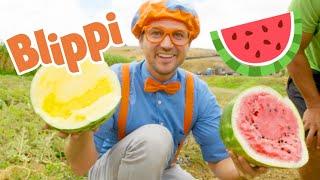 Blippi Official Channel 