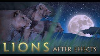 Lions for After Effects