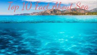Top 10 fact about sea