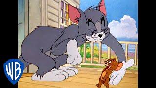 Tom & Jerry | Oh My Buddy! | Classic Cartoon Compilation | WB Kids