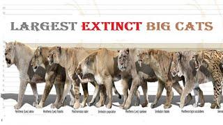 Top 10 Most Dangerous Prehistoric Big Cats - Top 10 Extinct Big Cats