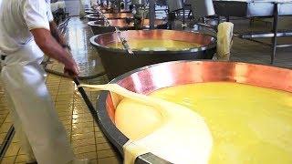 AMAZING CHEESE MANUFACTURING AND SATISFYING MACHINES THAT ARE ON A NEW LEVEL