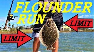 FLOUNDER FISHING BOLIVAR AND 2ND STREET IN SEABROOK | COLAB WITH 12 GAUGE FISHIN | FLOUNDER LIMIT