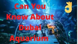 Top 10 Visiting Place In Dubai 2020 | Dubai Aqarium |☺☺