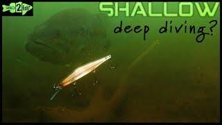 Why Fish Deep-Diving Jerkbaits in Shallow Water?