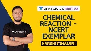 Chemical Reaction - NCERT Exemplar | Chemistry | Class 9 & 10 Foundation Course