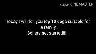 Top 10 dogs suitable for a family | Nivritti