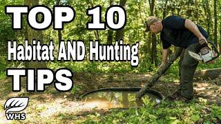 Top 10 Deer Habitat and Hunting Tips for Small Parcels