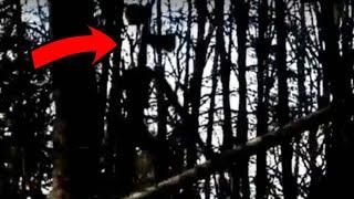 5 Real Siren Head sighting and i really freak out! - Paranormal TOP 5