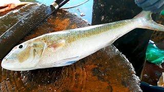 Fresh Fish Cutting | Fish Cutting Experts Sri Lanka