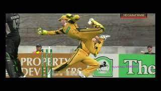 Top 10 best catch is cricket history !!!!!!