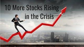 Next 10 S&P 500 Stocks That Rose In The Crisis: It’s A Market Of Stocks: Part 2