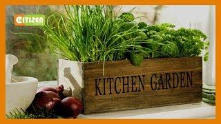 | SMART FARM | Focus on kitchen gardens in urban centres