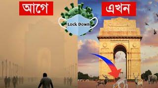 Lockdown effect on Animals | বন্য প্রানীদের উপর Lockdown প্রভাব | Corona virus effects on Nature