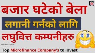 Top 5 Microfinance Company in Nepal to Invest | Best Laghubitta Company to Invest
