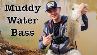 Muddy Water Bass Fishing | My Top Winter Lures