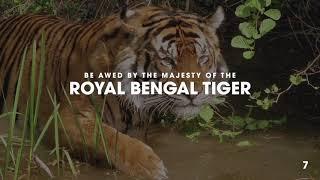 Top 10 beautiful place in India