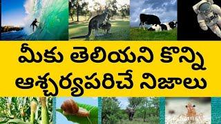 Top 10 Intrasting and unknown facts in Telugu