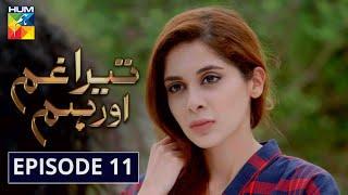 Tera Ghum Aur Hum Episode 11 HUM TV Drama 5 August 2020