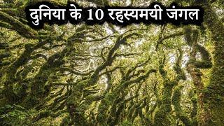 Top 10 Mysterious Jungle in the World | दुनिया के 10 सबसे रहस्यमयी जंगल