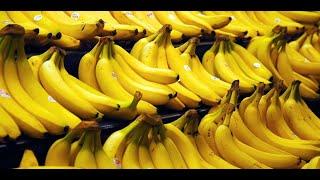 top 10 most banana producing country