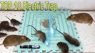 Top 10 Electric Mouse Trap | Best Electric Mouse/Rat Trap | The results of the 50.000 volts Taser