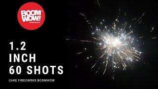 1.2 inch 60 shots final fireworks boomwow mila 1 2寸60发 生鹏前开