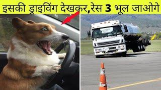 Top 10 Amazing Stunt by Drivers | दुनिया के सबसे जाँबाज़ ड्राइवर