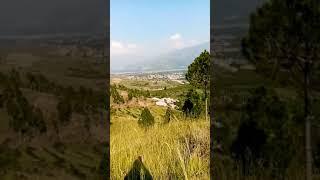 top 10 place #..