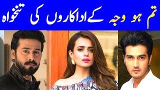 Tum Ho Wajah Drama Actors Salary || Tum Ho Wajah Episode 1|| Tum Ho Wajah Episode 2 || HUM TV Dramas