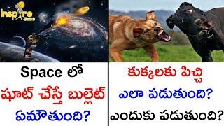 Top 10 Most Interesting And Unknown Facts | Telugu Facts | Amazing Facts In Telugu | Inspire Telugu