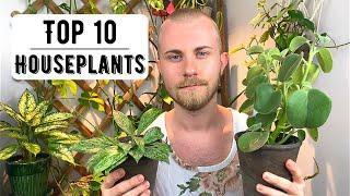 Top 10 Houseplants | Summer 2020