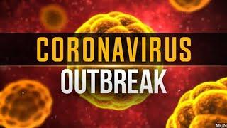 Top 10 facts about the coronavirus- No 1 may make you sad.