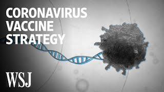 How Scientists Are Trying to Develop a Coronavirus Vaccine | WSJ