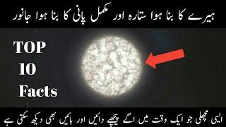 Top 10 facts you should know||urdu/hindi