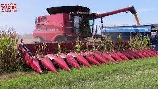 Big COMBINES Harvesting