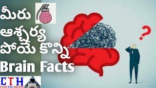 Interesting facts about human brain || chanduthehacker