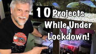 Top 10 Aquarium Projects to Do ***While Under Lock Down***