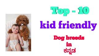 Top 10 kid friendly dog breeds details in Kannada
